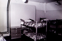 *Dan-y-Coed